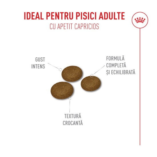 Royal Canin Fussy Exigent – Hrană Uscată pentru Pisici Mofturoase – 10 kg